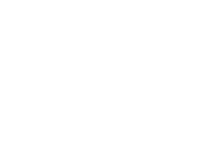 04 Maternal REV 300px.png
